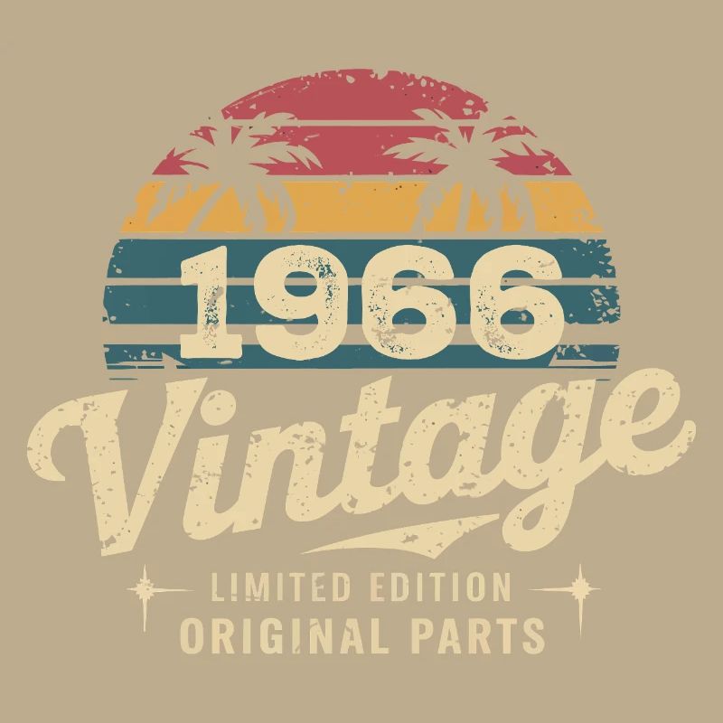 Großartig seit 1966 1966 Geburtstagsgeschenk