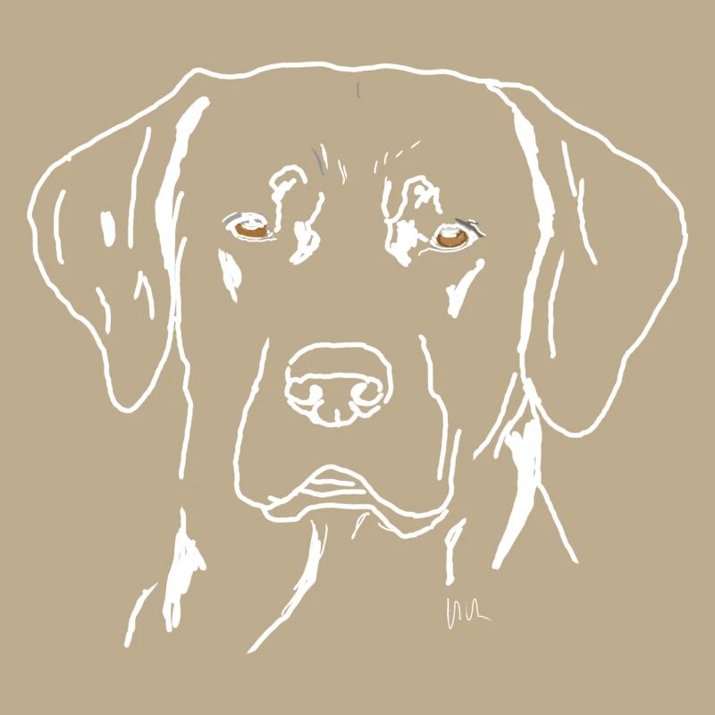 Labrador