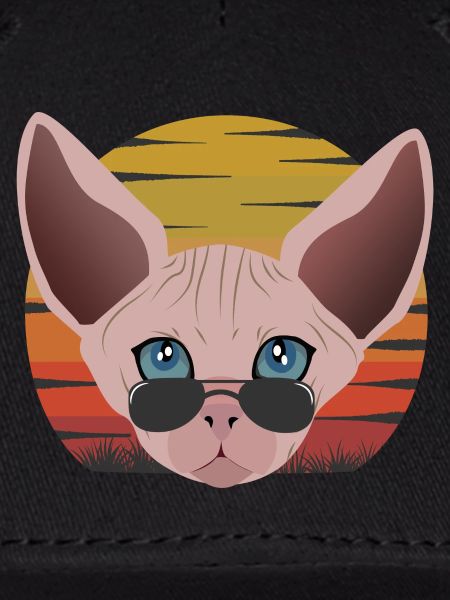 sphinx cat sunset