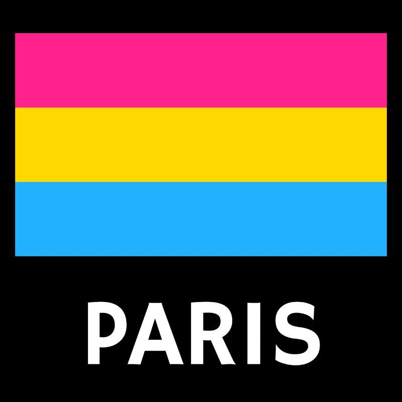 Pan Pride Flagge Paris