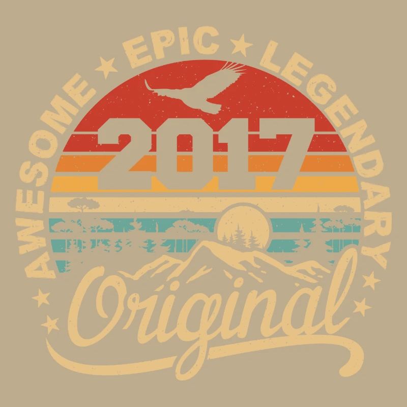 Original 2017 Geburtstagsgeschenk 2017 Retro 2017