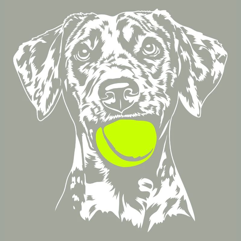 Catahoula Chien Léopard Hunde Hund Wilsigns