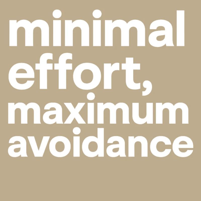 minimal effort maximum avoidance | Irony, Minimal