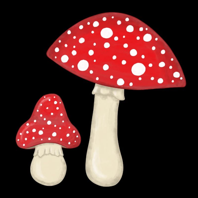 Champignons à mouches