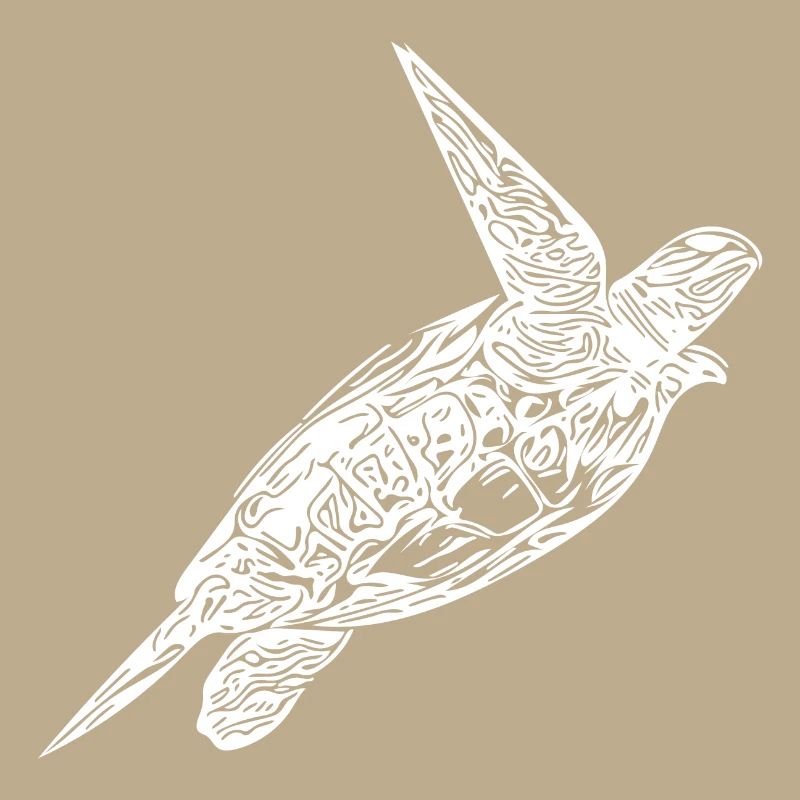 Vintage turtle on surface