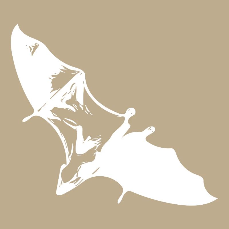 Gliding flying fox