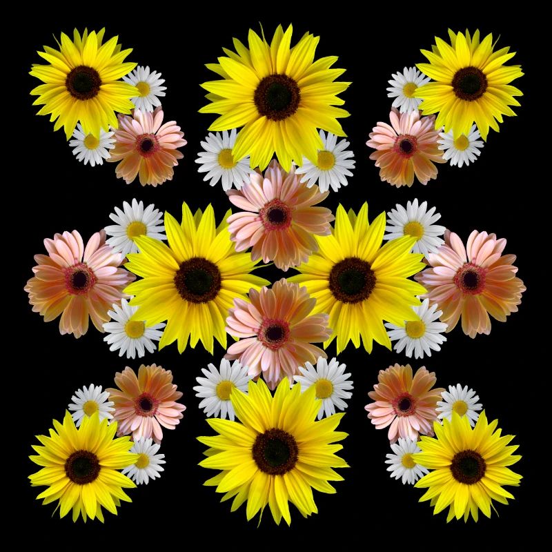 Sonnenblumen Margeriten Gerbera Blüten floral