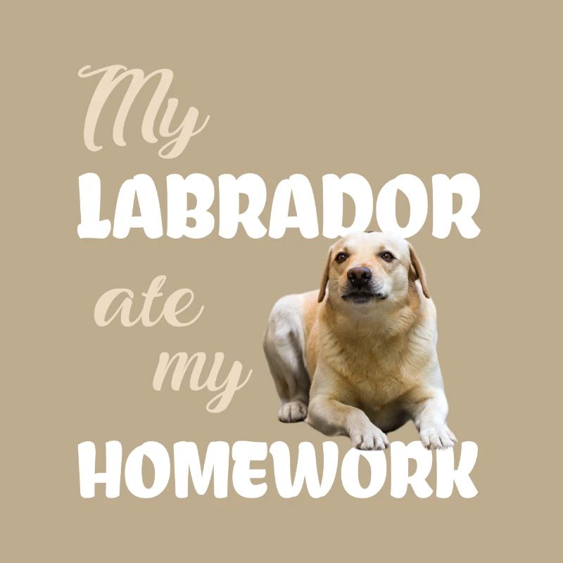 Labrador Homework