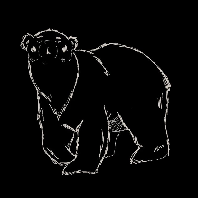 Sleepwalking Bear