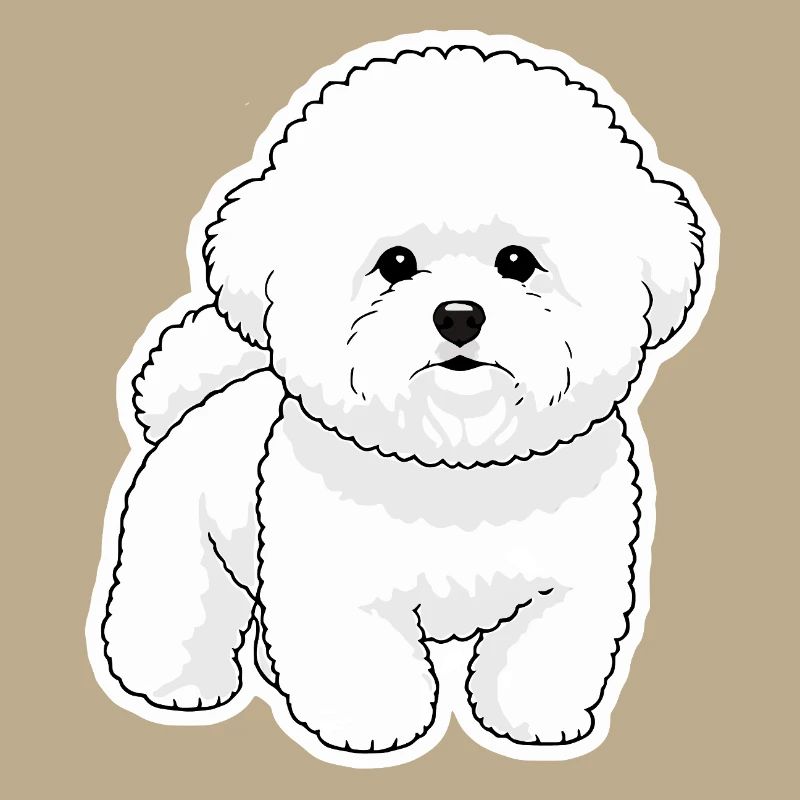 Bichon Mignon