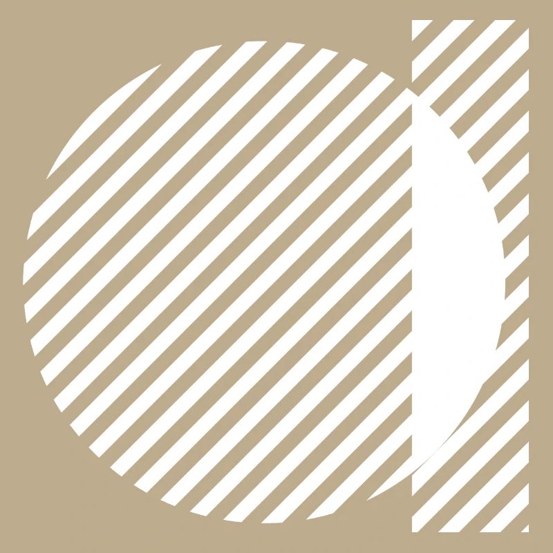Geometric Stripe Circles Monochrome Pattern