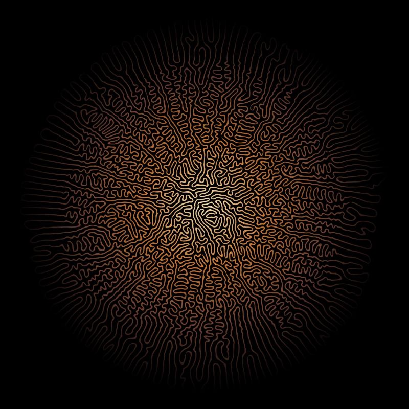 Mushroom Mycelium (Psychedelic Edition)