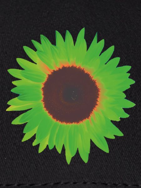 sonnenblume grün