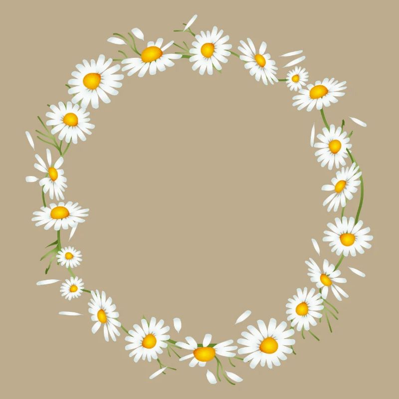 bright chamomile wreath from chamomile flowers