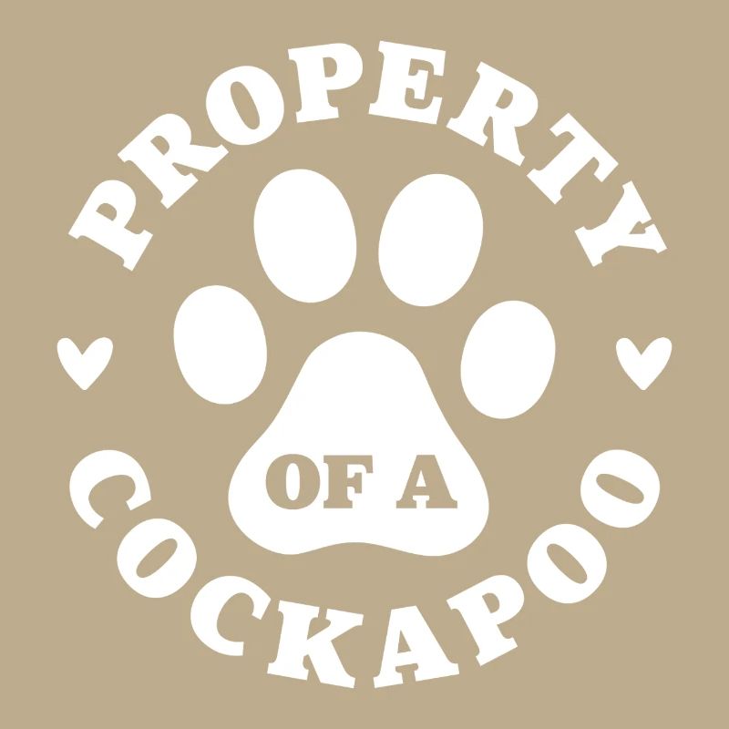 Propriété d’un Cockapoo
