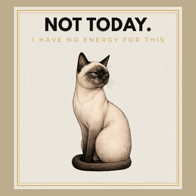 NOT TODAY. Noble Cat Introvert Meme Design