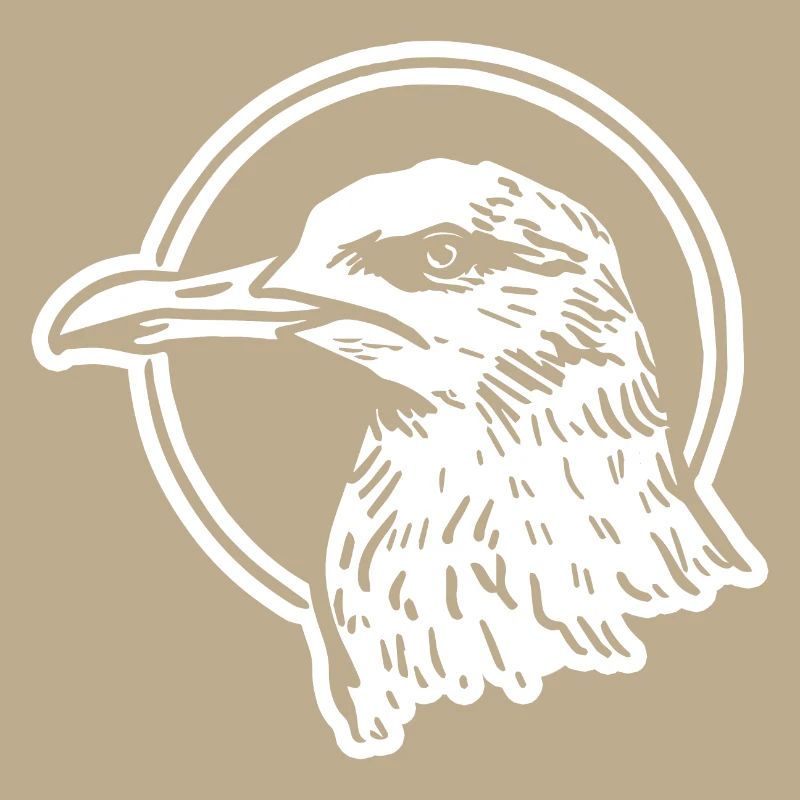 Möwe