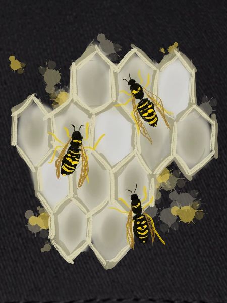 Wasps