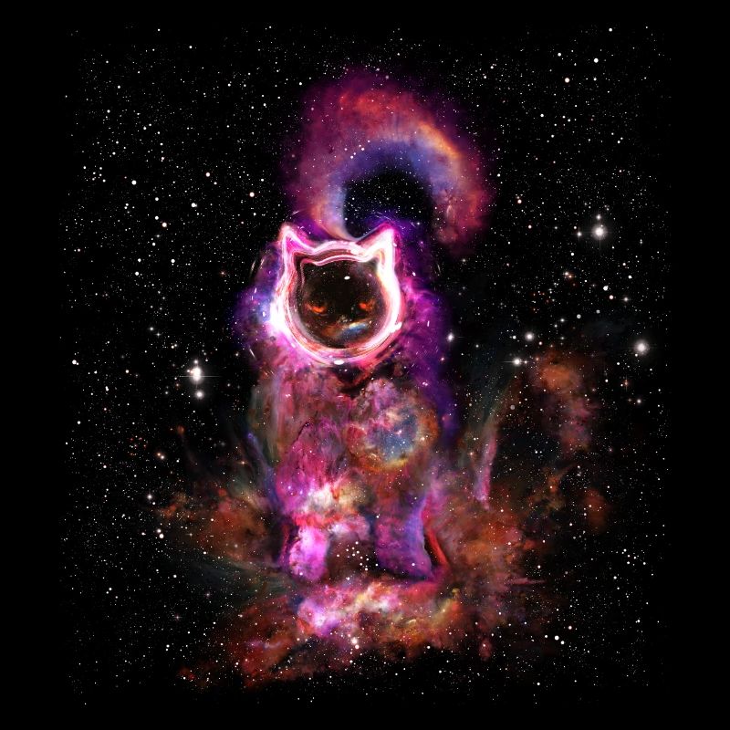 das Schwarze Loch, bekannt als deine Katze (TILE)