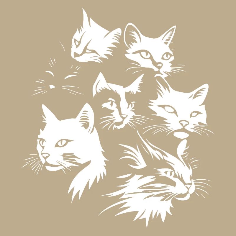Équipe Cat