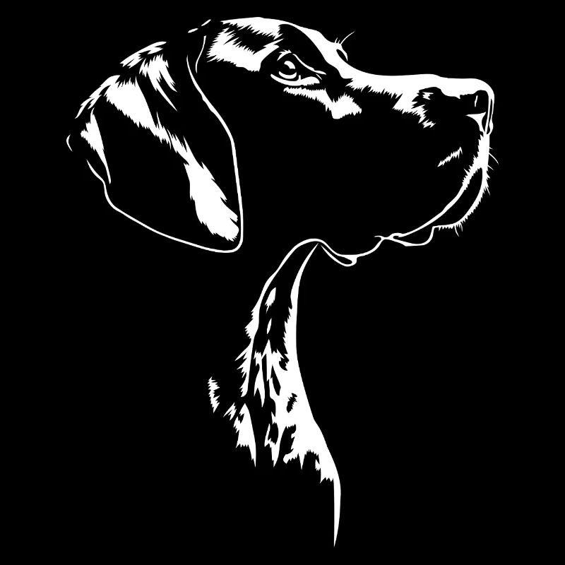 Deutsch Kurzhaar Jagdhund Jagdhunde Hund Wilsigns