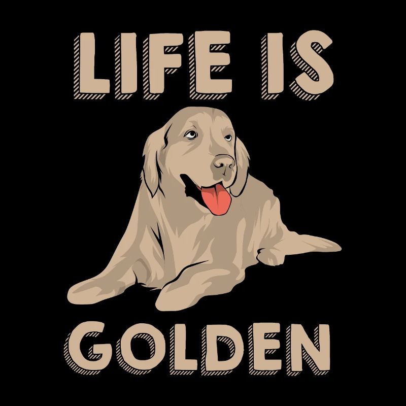 Golden Retriever Dog