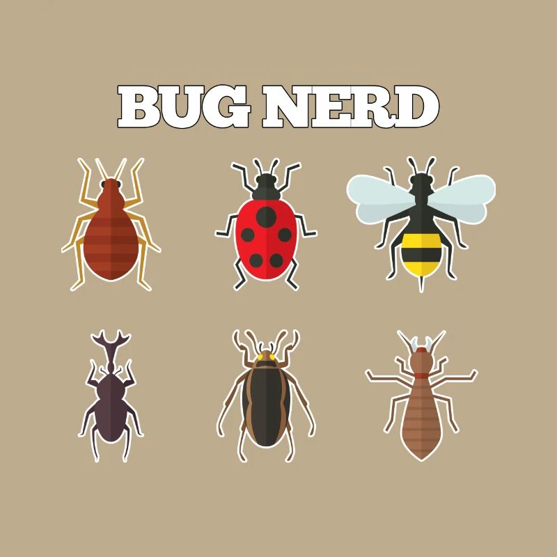 Bug Nerd