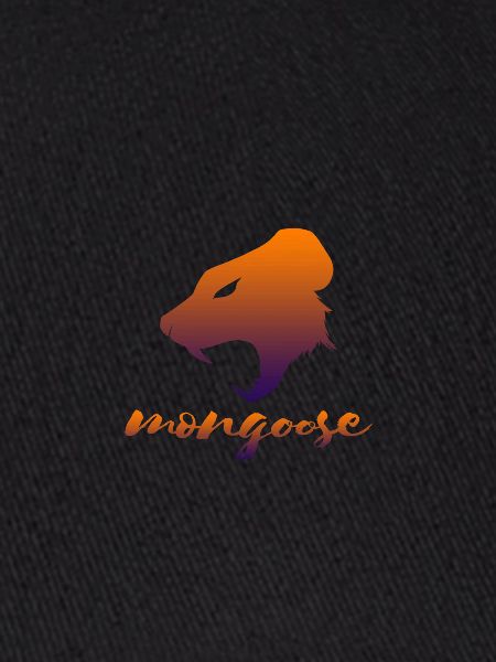 Mongoose nimble animal