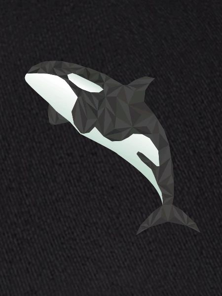orca Whale
