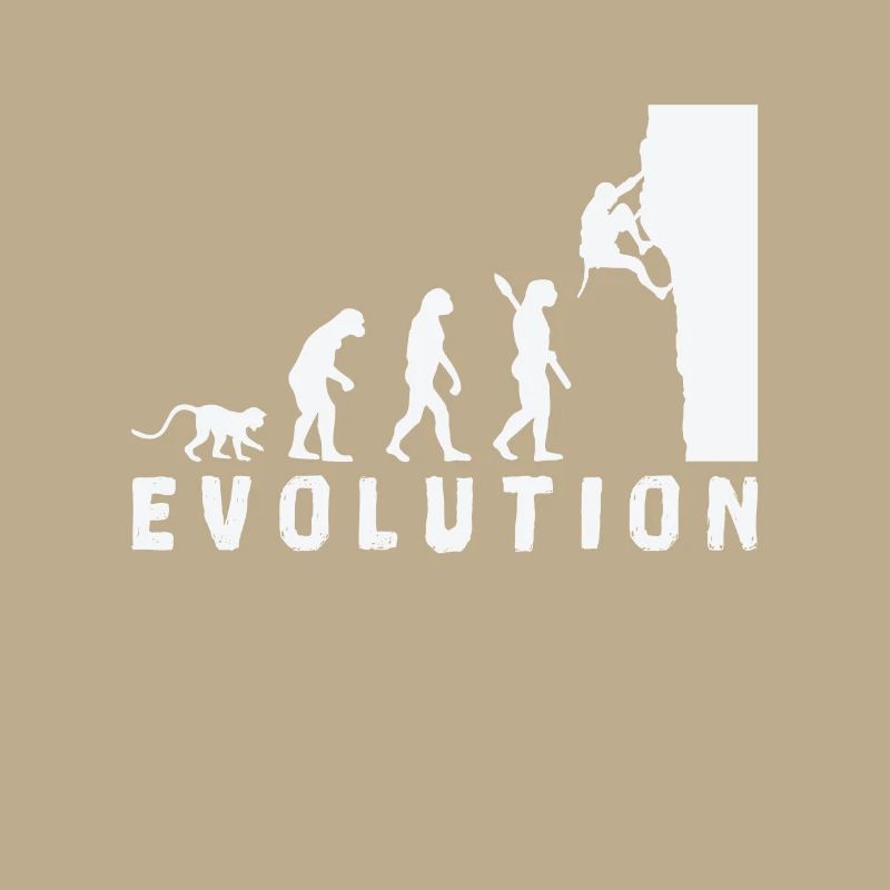 Escalade Bouldern Evolution