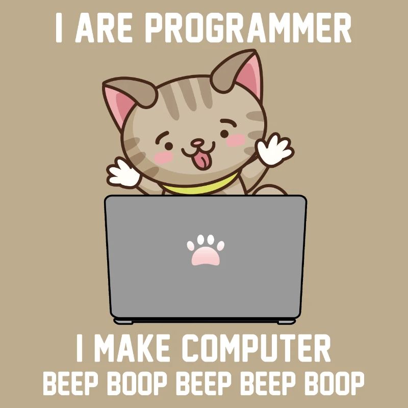 Programmer