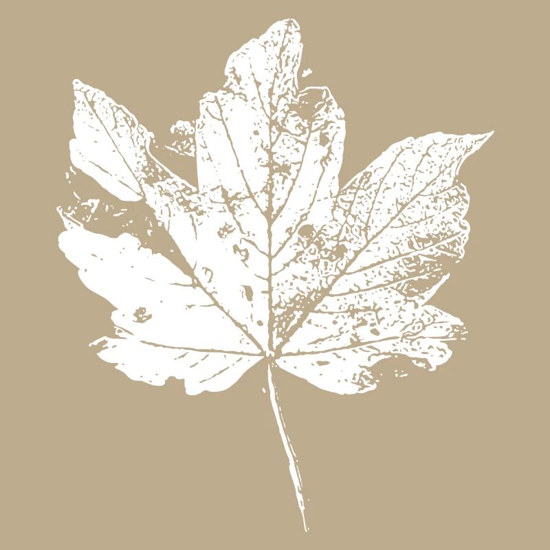 Feuilles Automne Feuillage des feuilles Automne