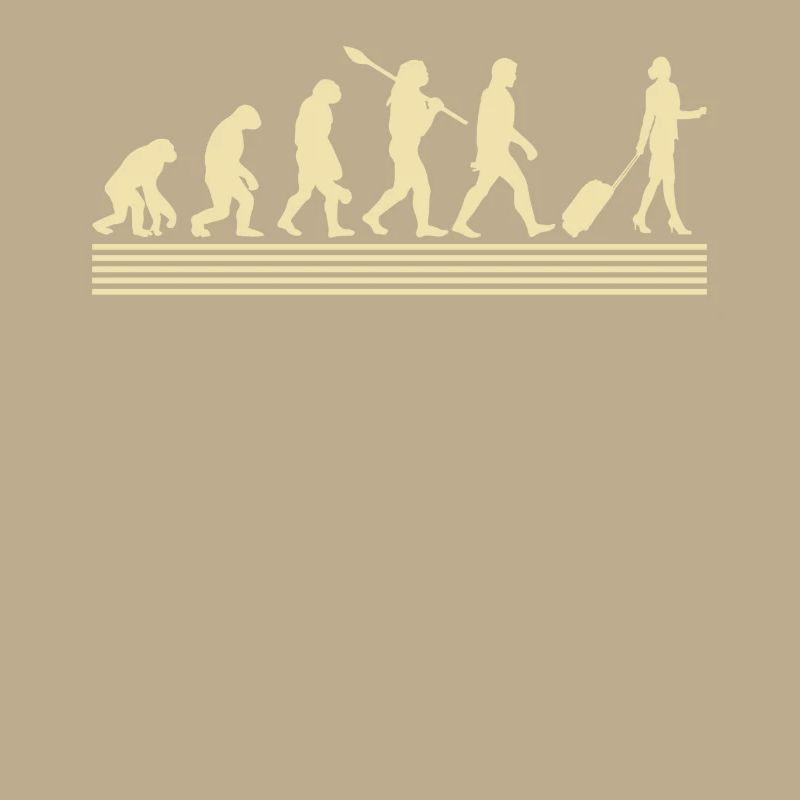 Stewardesses evolution