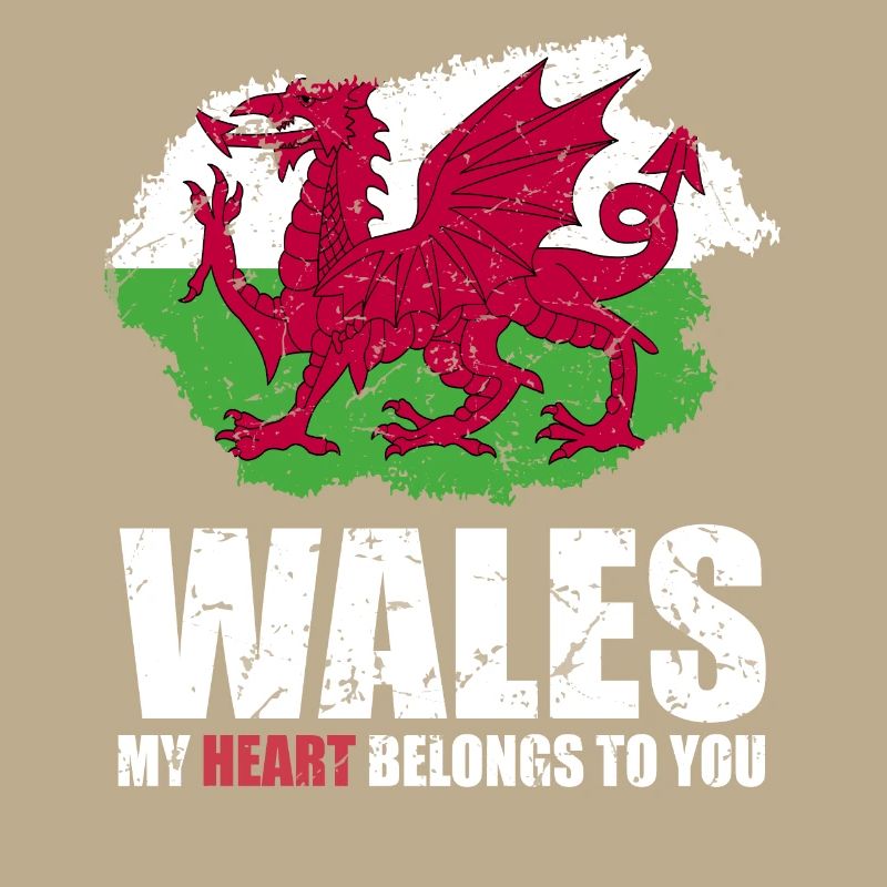 Drapeau du Pays de Galles