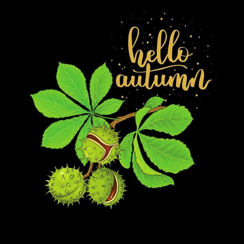 Hello-Automne Saison d’automne Marronnier d’Inde Châtaigne