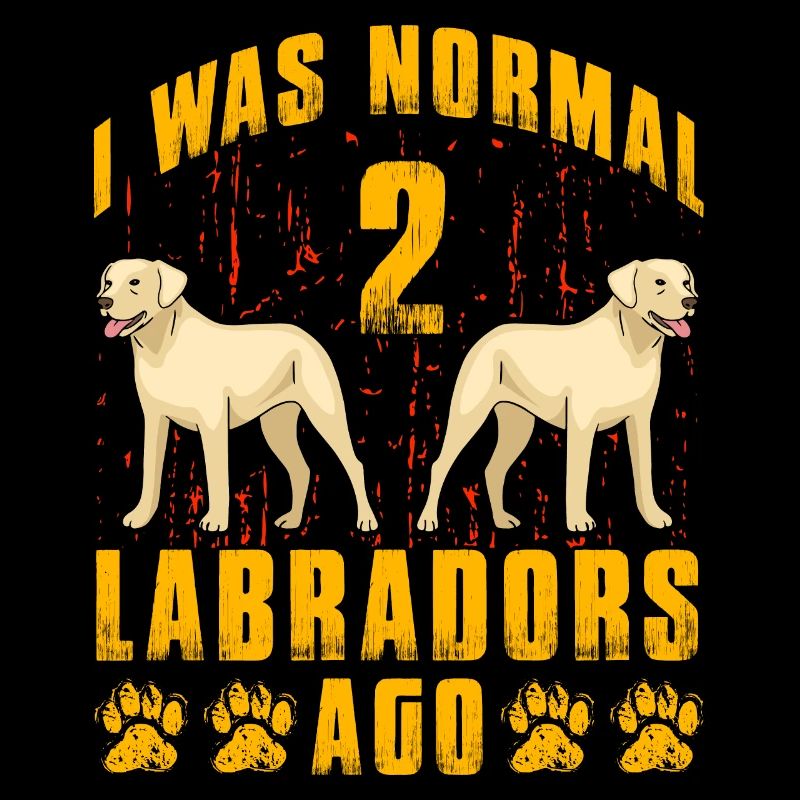 J’étais normal il y a 2 Labradors