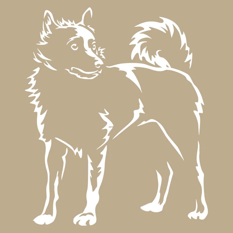 Schipperke "Black Edition"