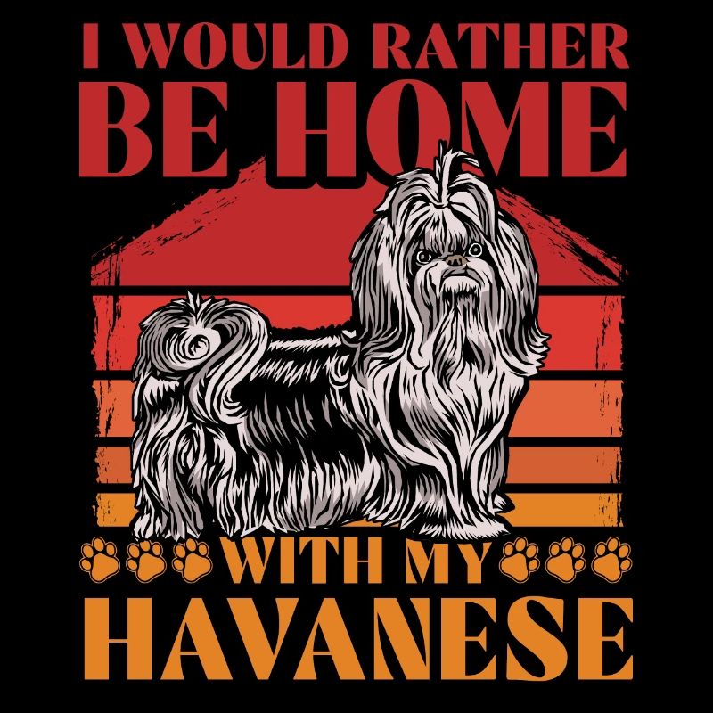 Je préfère être à la maison avec mon havanais
