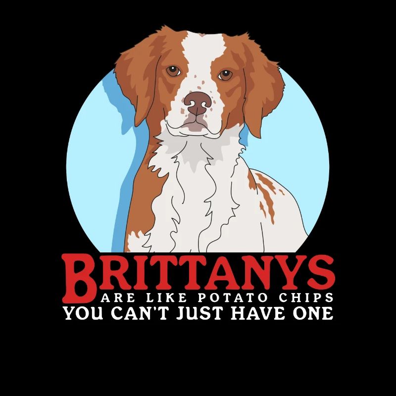 Brittany Epagneul Breton Pointing Dogs Gift