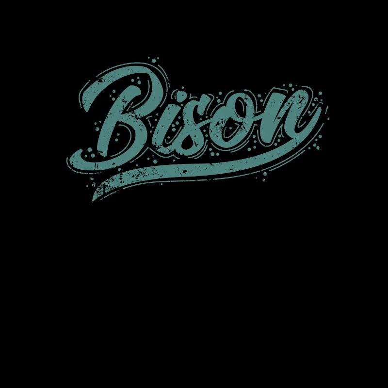 Bison buffalo animal bison