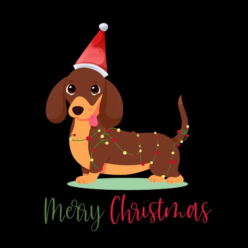 Dachshund, Dachshund, Christmas, Christmas