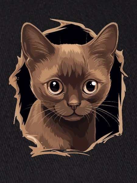 Burmese Cat Burma Katze