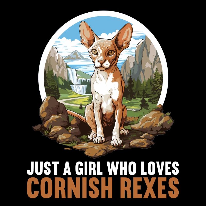 Cornish Rex Kätzchen Cornish Rex Katze