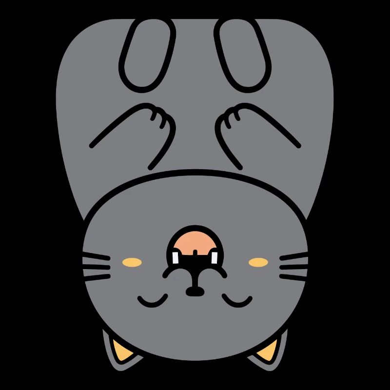 Chartreux little cat