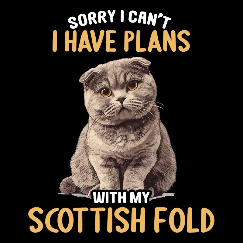 Scottish Fold Kitten Scottish Fold Cat