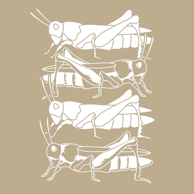 Grasshopper grasshopper