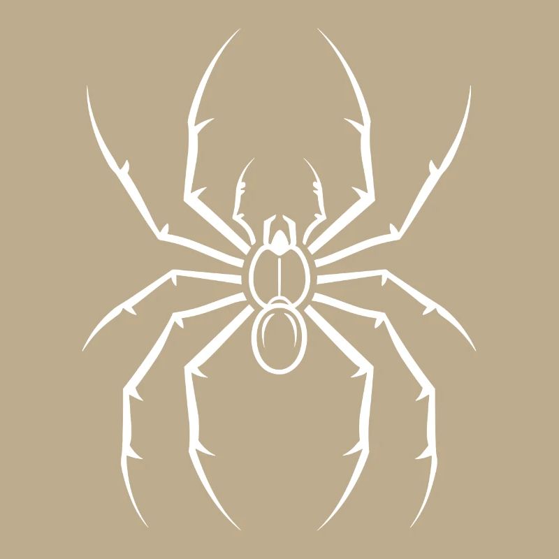 araignée