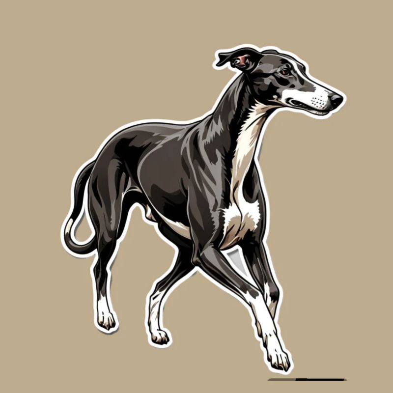 Greyhound Silhouette Elegant Contour