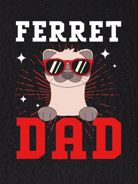 Furet