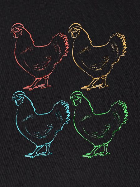 Chicken Poultry